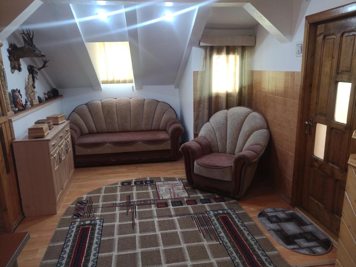 Вилла Casa Cristian Кымпулунг-Молдовенеск Экстерьер фото