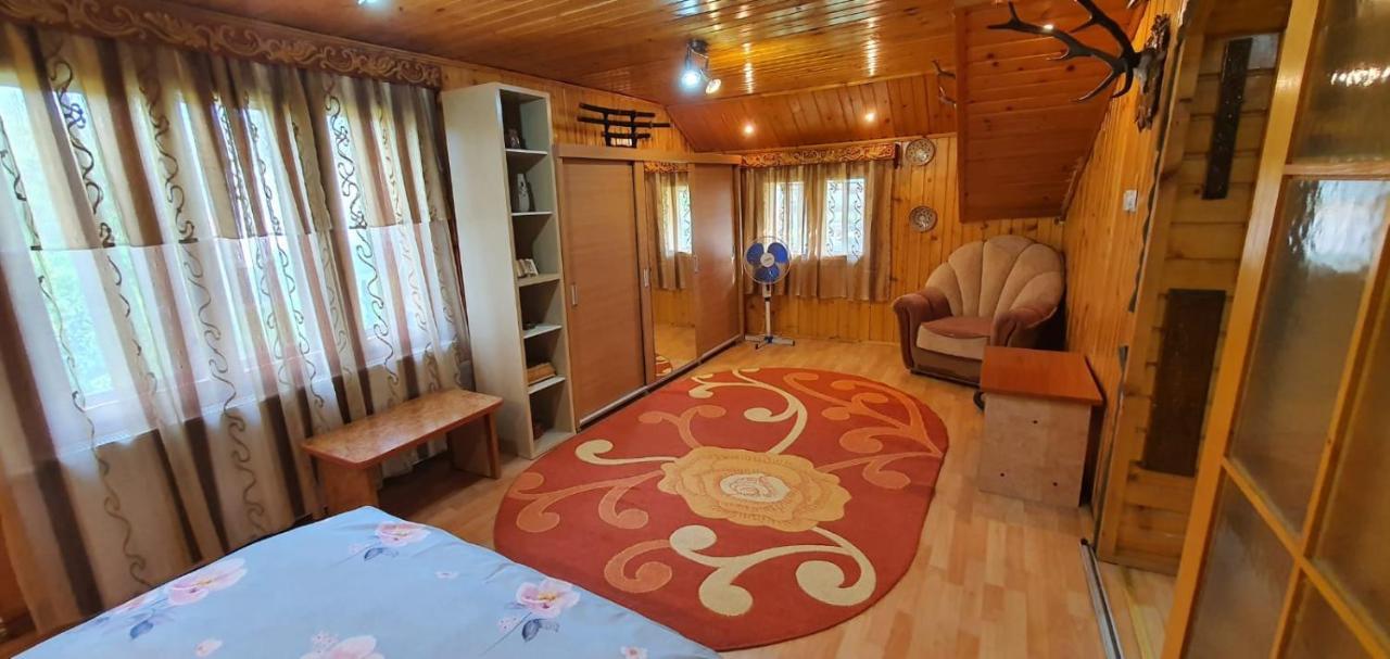 Вилла Casa Cristian Кымпулунг-Молдовенеск Экстерьер фото