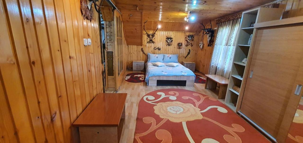 Вилла Casa Cristian Кымпулунг-Молдовенеск Экстерьер фото